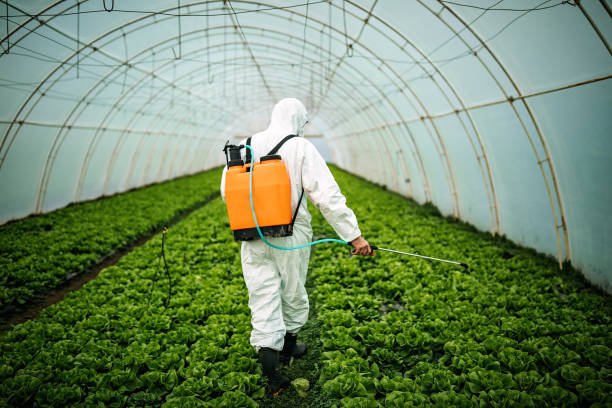 Best Best Pest Control Companies  in Loveland, OH