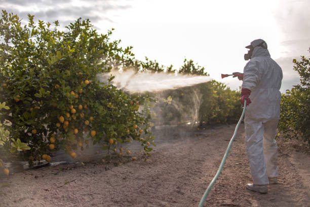 Best Insect Control  in Loveland, OH