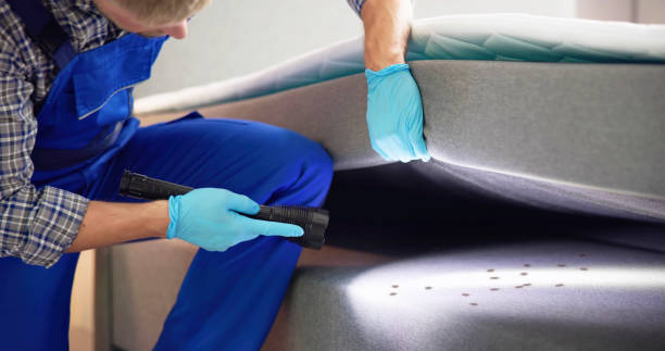 Best Affordable Pest Control Services  in Loveland, OH