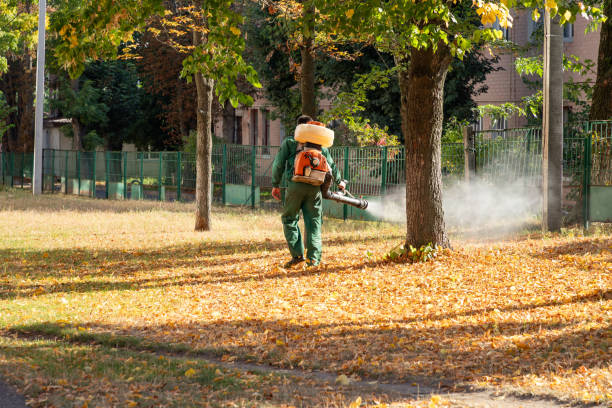 Best Commercial Pest Control Services  in Loveland, OH