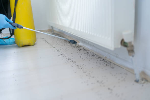 Professional Pest Control in Loveland, OH
