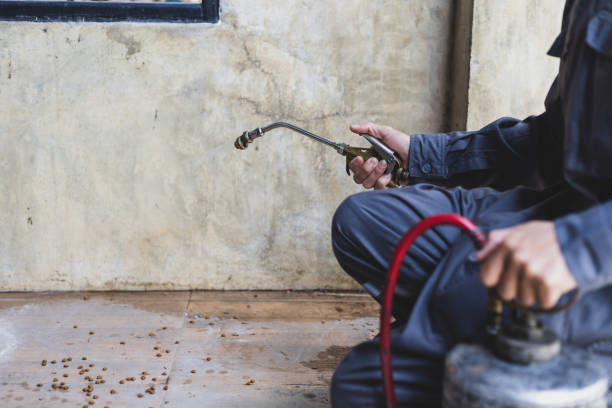 Wasp Removal Services in Loveland, OH
